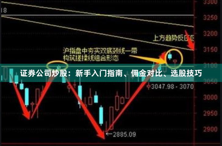 证券公司炒股：新手入门指南、佣金对比、选股技巧